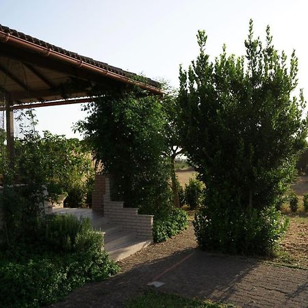 Accogliente Villa Con Piscina Caltagirone Buitenkant foto