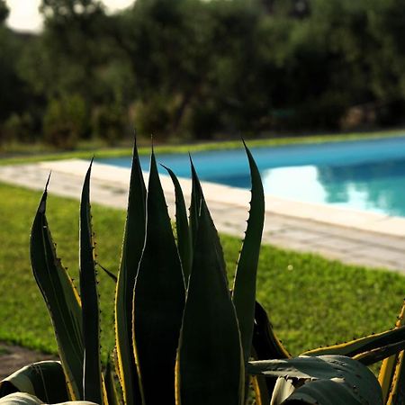 Accogliente Villa Con Piscina Caltagirone Buitenkant foto