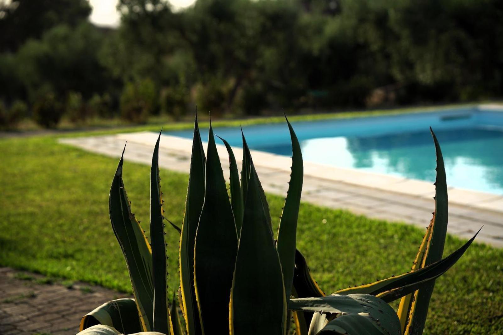 Accogliente Villa Con Piscina Caltagirone Buitenkant foto