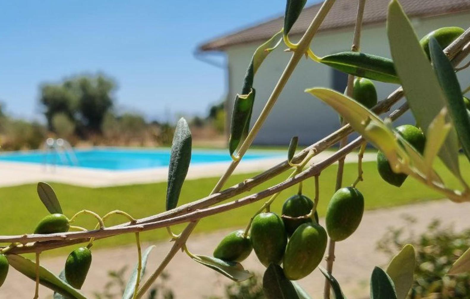 Accogliente Villa Con Piscina Caltagirone Buitenkant foto