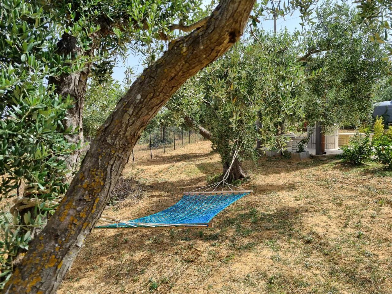 Accogliente Villa Con Piscina Caltagirone Buitenkant foto