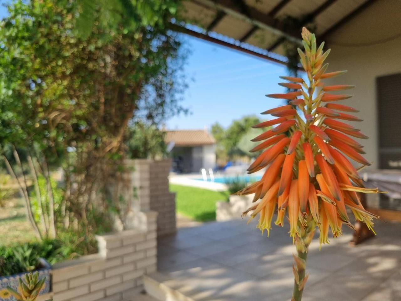 Accogliente Villa Con Piscina Caltagirone Buitenkant foto
